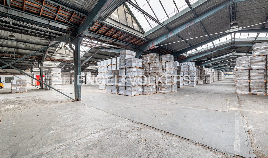 Pronájem skladovacích prostor 30 000 m², Rakovník – náhled fotky 9