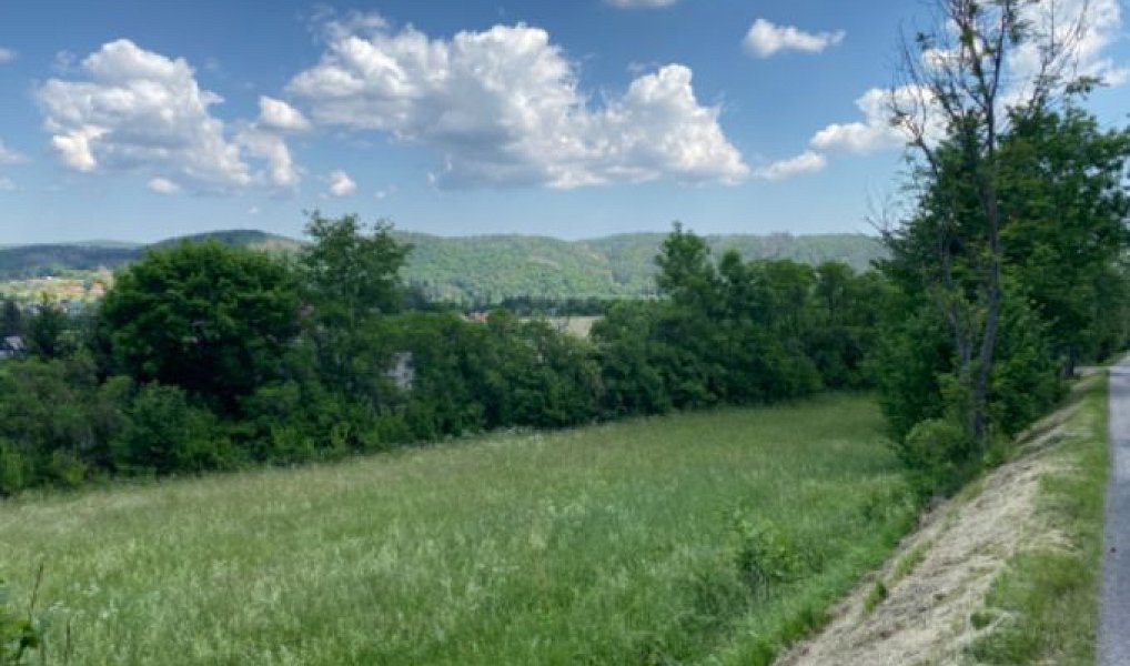 Prodej stavebního pozemku 4 256 m², Sázava – náhled fotky 4