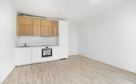 Pronájem bytu 1+kk 29 m², Magisterská, Plzeň - Jižní Předměstí