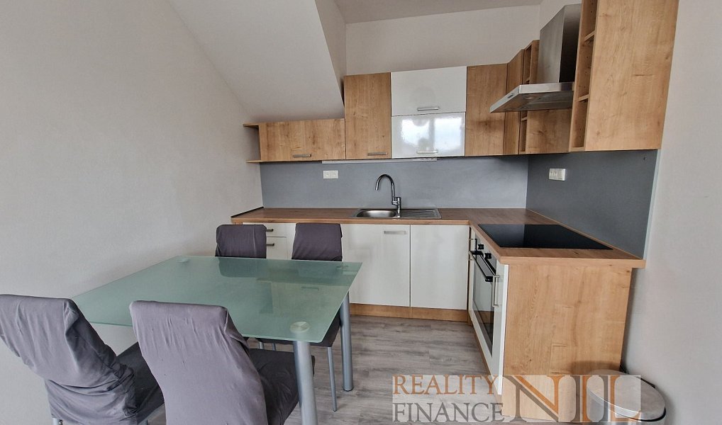 Pronájem bytu 2+kk 50 m², Město Touškov – náhled fotky 3