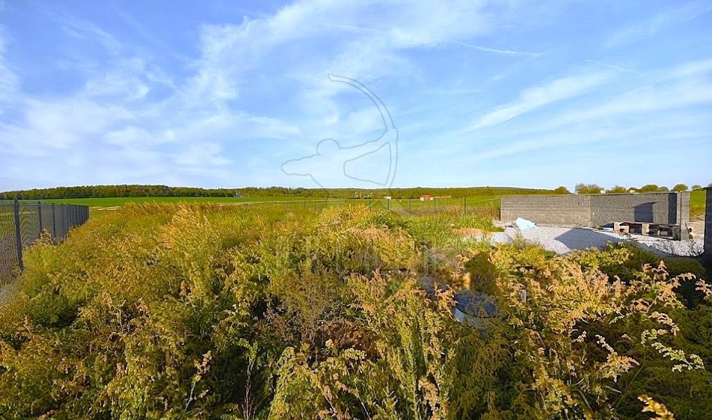 Prodej stavebního pozemku 800 m², Brodce – náhled fotky 10