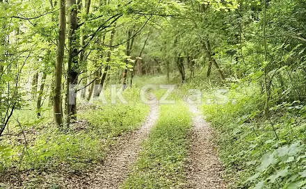 Prodej pozemku 47 568 m², Černíky, okres Kolín