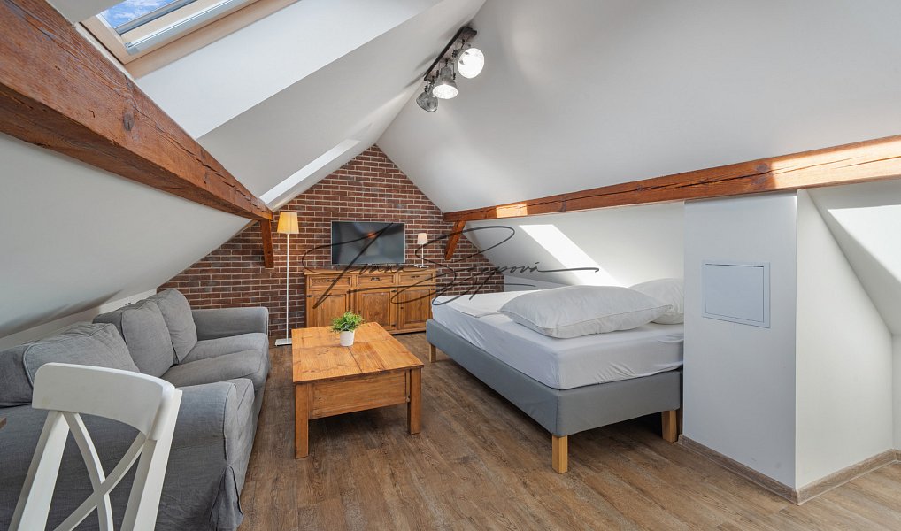 Prodej ubytovacího objektu 208 m², Dráchov – náhled fotky 35