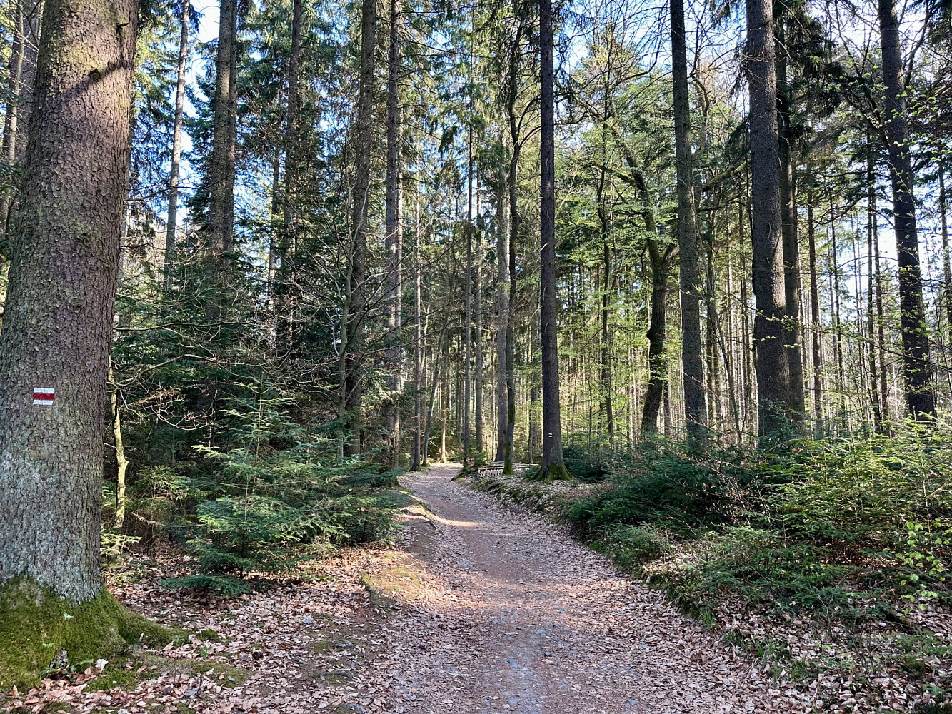 Prodej stavebního pozemku 1 761 m² – fotografie 3