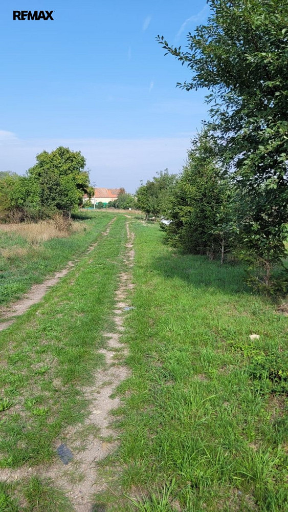 Prodej stavebního pozemku 6 258 m² – fotografie 4