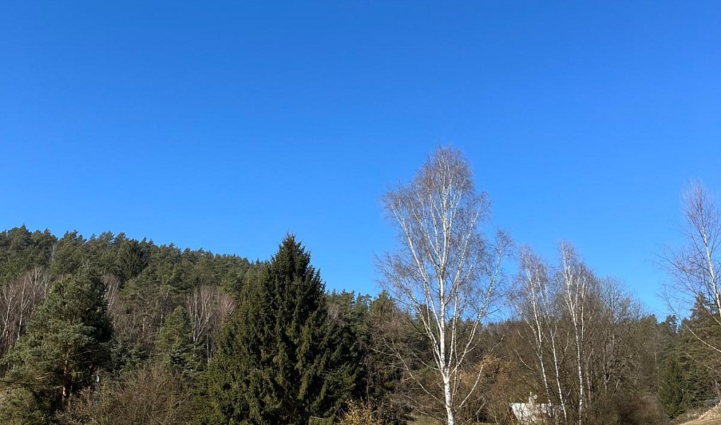 Prodej stavebního pozemku 5 083 m², Všelibice – náhled fotky 8