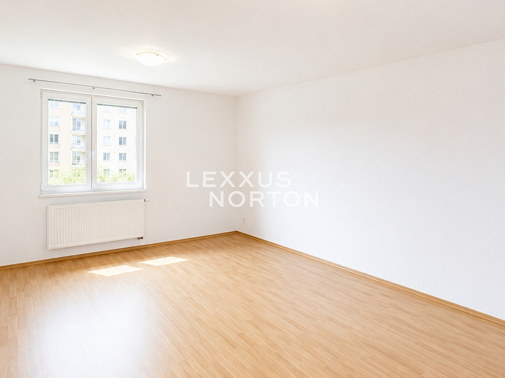 Pronájem domu 400 m² s pozemkem 1 200 m² — photo 5