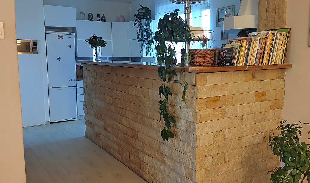 Prodej domu 94 m² s pozemkem 233 m², Zruč-Senec – náhled fotky 3