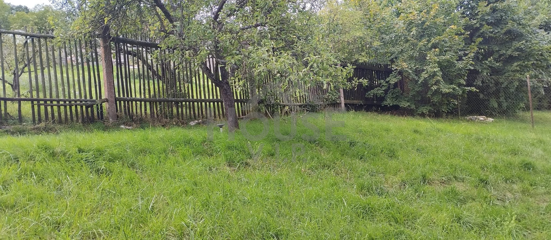 Fotka 11 z 18