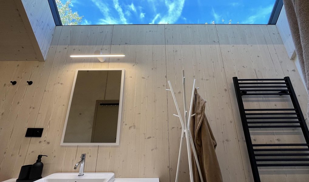 Prodej chaty/chalupy 208 m² s pozemkem 1 639 m², Borovnice – náhled fotky 16