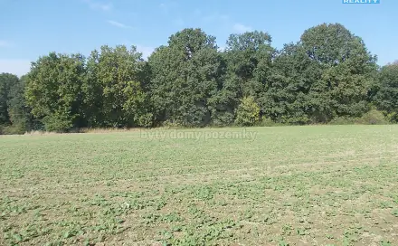 Prodej lesa 18 338 m², Ostrava - Stará Bělá