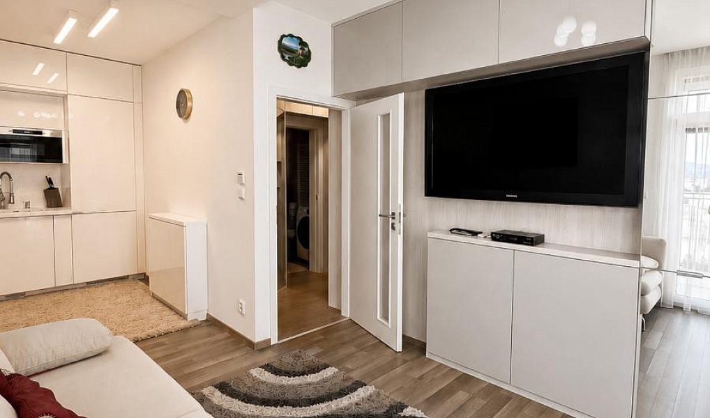 Prodej bytu 2+kk 43 m², Brno – náhled fotky 4