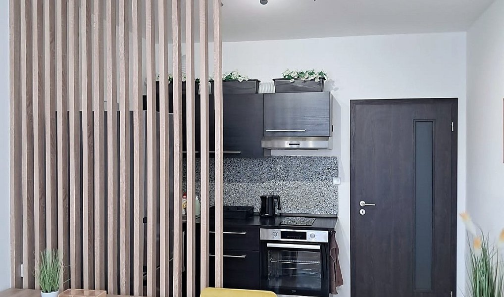 Pronájem bytu 1+kk 30 m², Praha – náhled fotky 4