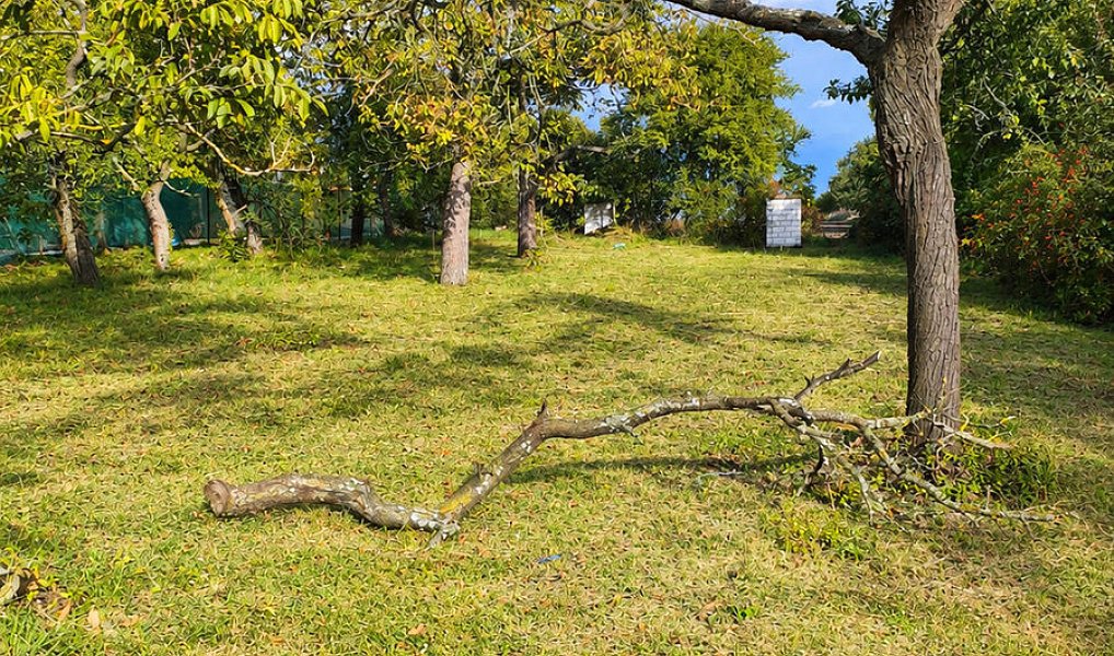 Prodej stavebního pozemku 2 114 m², Brno – náhled fotky 3