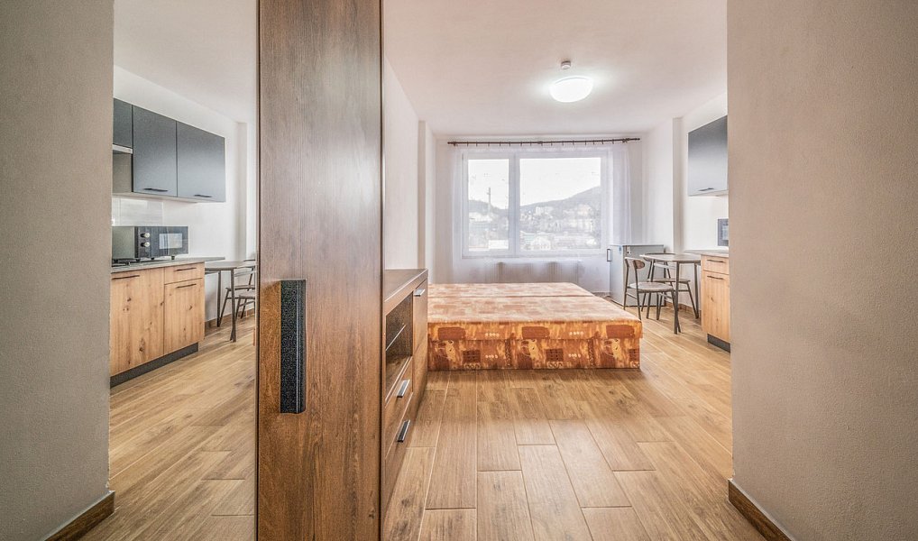 Pronájem bytu 1+kk 25 m², Ústí nad Labem – náhled fotky 8