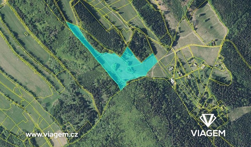 Prodej pole 3 749 m², Radvanice – náhled fotky 2