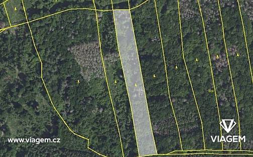 Prodej lesa 3 372 m², Drahelčice, okres Praha-západ