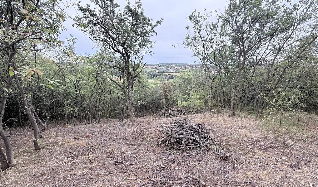 Prodej zahrady 464 m², Brandýsek – náhled fotky 4