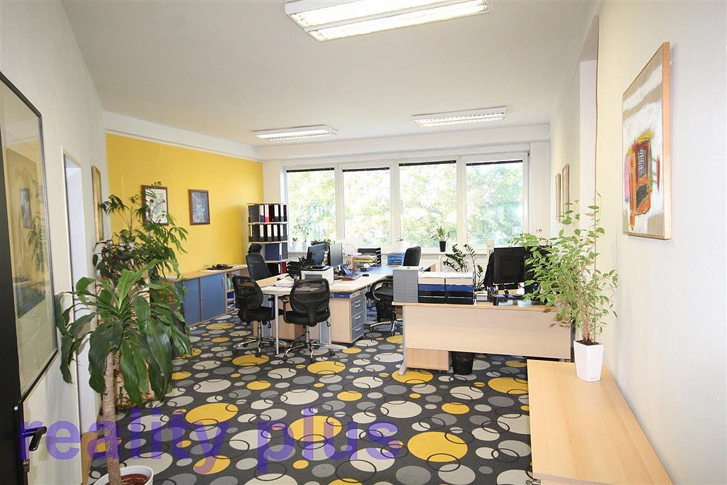 Pronájem kanceláře 354 m² – fotografie 3