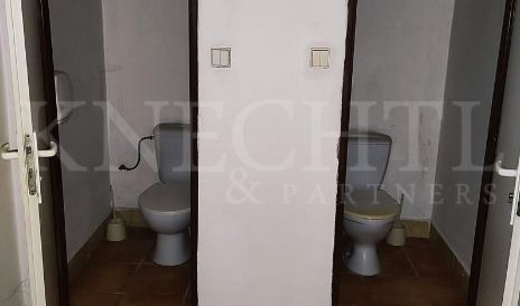 Pronájem výrobních prostor 5 626 m², Pavlov – náhled fotky 6