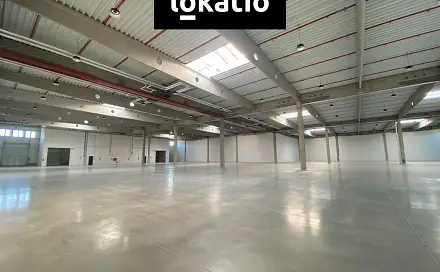 Pronájem skladovacích prostor 5 200 m², Mikulov, okres Břeclav