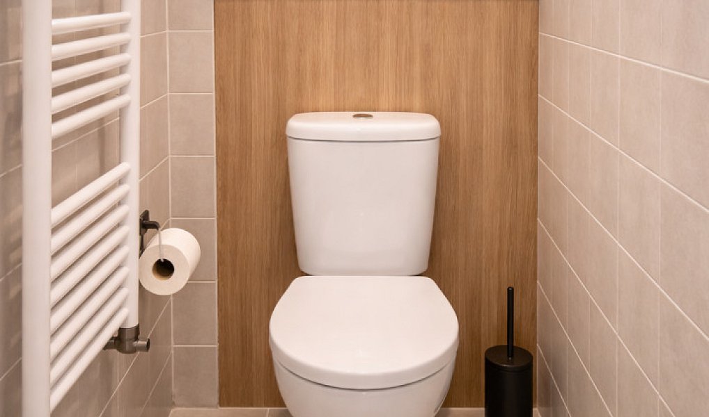 Prodej domu 145 m² s pozemkem 256 m², Chlum-Korouhvice – náhled fotky 16