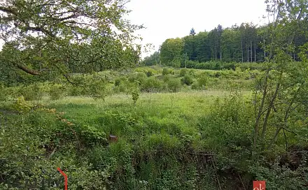 Prodej stavebního pozemku 22 894 m², Janská, okres Děčín