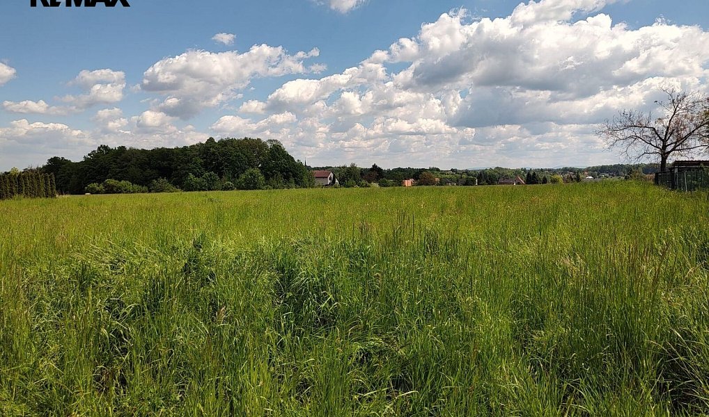 Prodej stavebního pozemku 2 600 m², Václavovice – náhled fotky 12