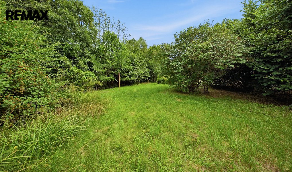 Prodej chaty/chalupy 199 m² s pozemkem 1 111 m², Dubnice – náhled fotky 6