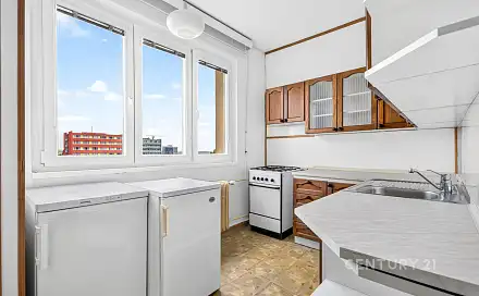 Prodej bytu 3+1 55 m²