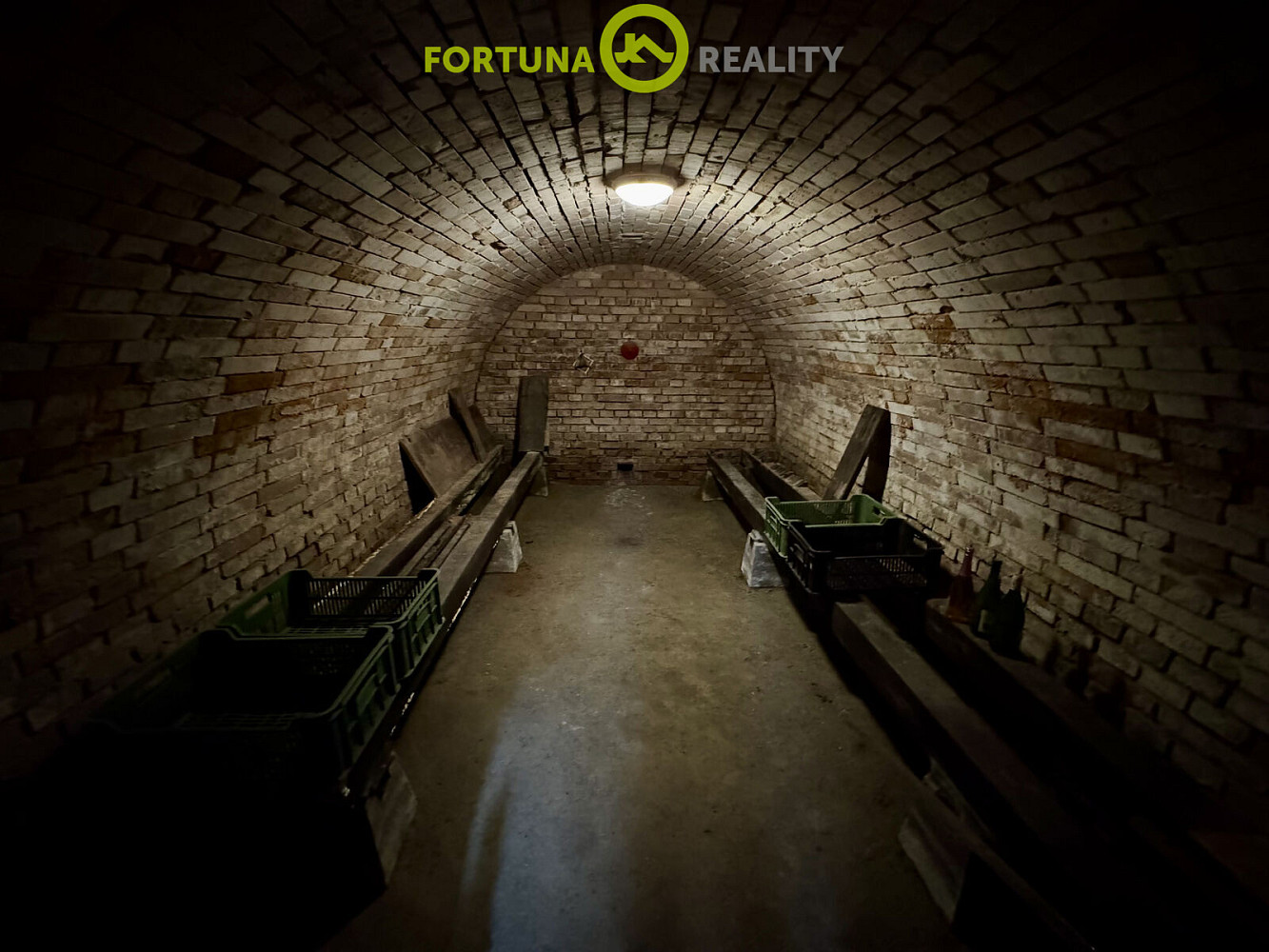 Fotka 16 z 29