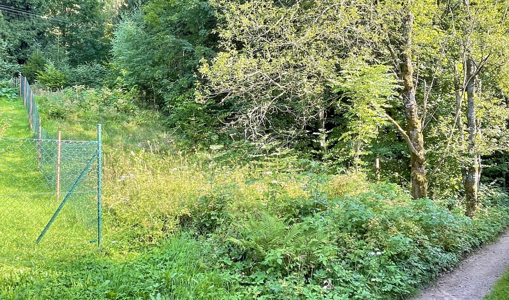 Prodej zahrady 594 m², Borová – náhled fotky 3