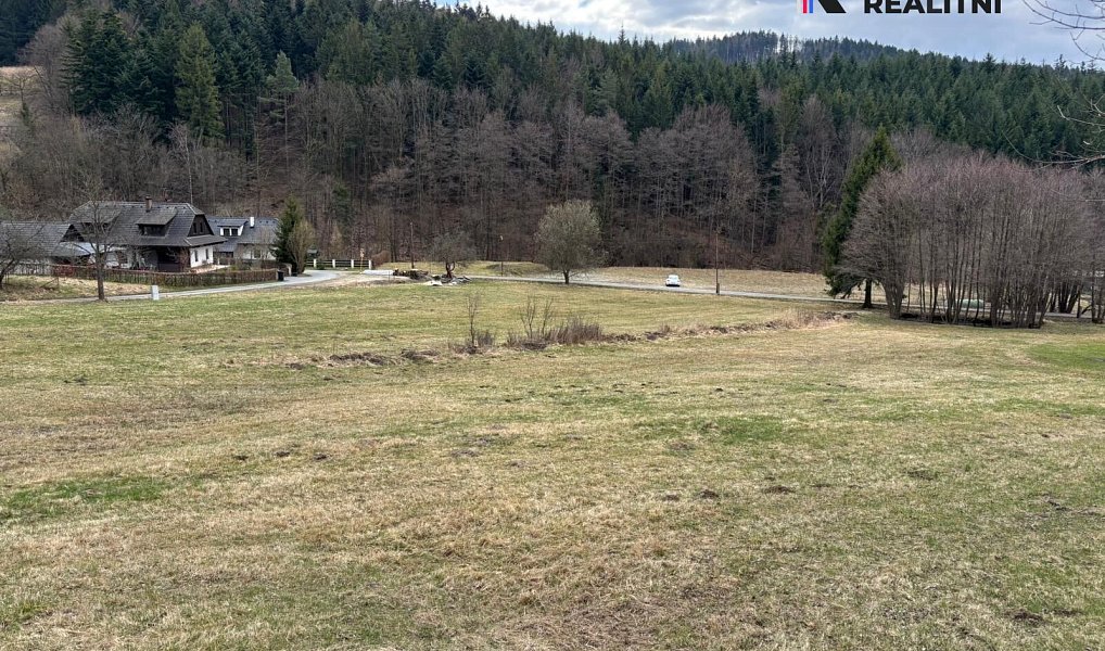 Prodej stavebního pozemku 9 229 m², Držková – náhled fotky 12