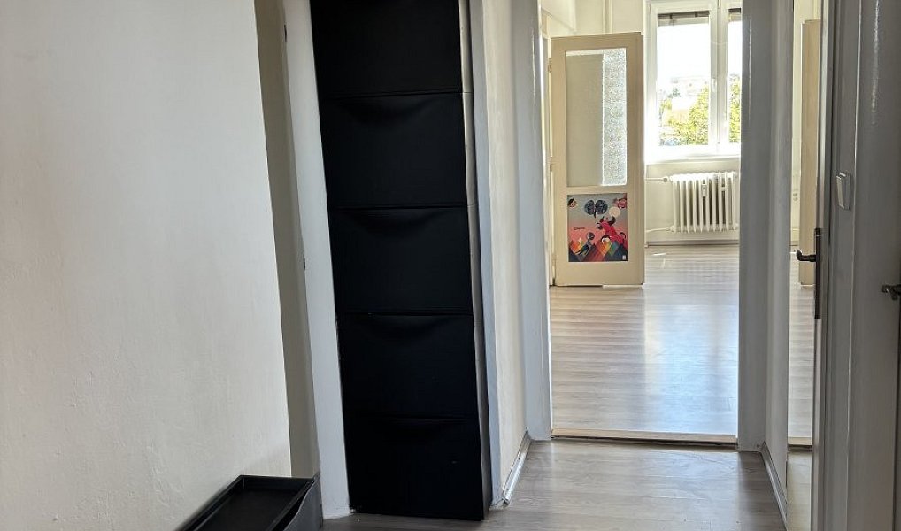 Pronájem bytu 2+1 55 m², Hradec Králové – náhled fotky 6