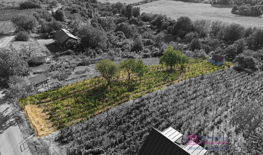 Prodej zahrady 1 256 m², Mikulov – náhled fotky 7