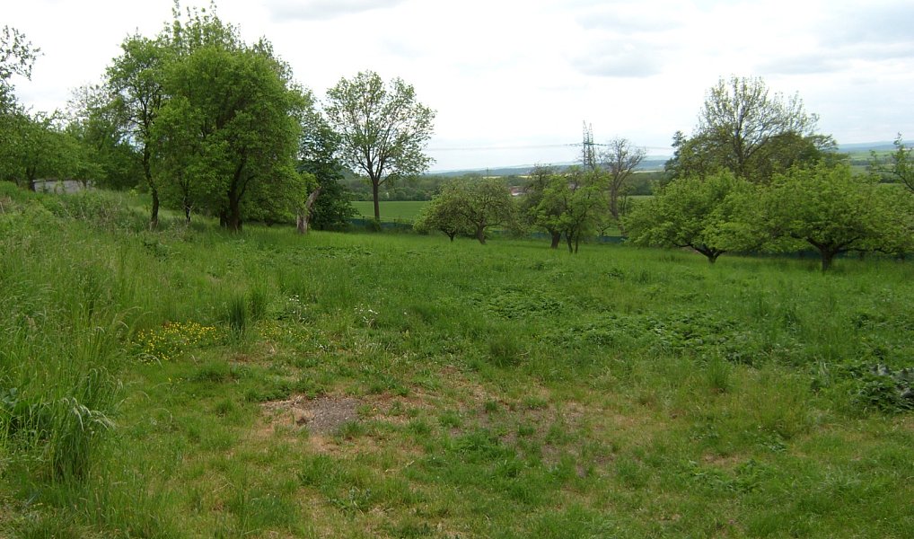 Prodej domu 100 m² s pozemkem 6 962 m², Jenišovice – náhled fotky 20