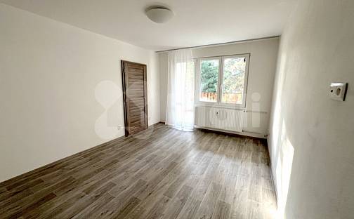 Pronájem bytu 3+1 70 m², Plzeňská, České Budějovice - České Budějovice 3