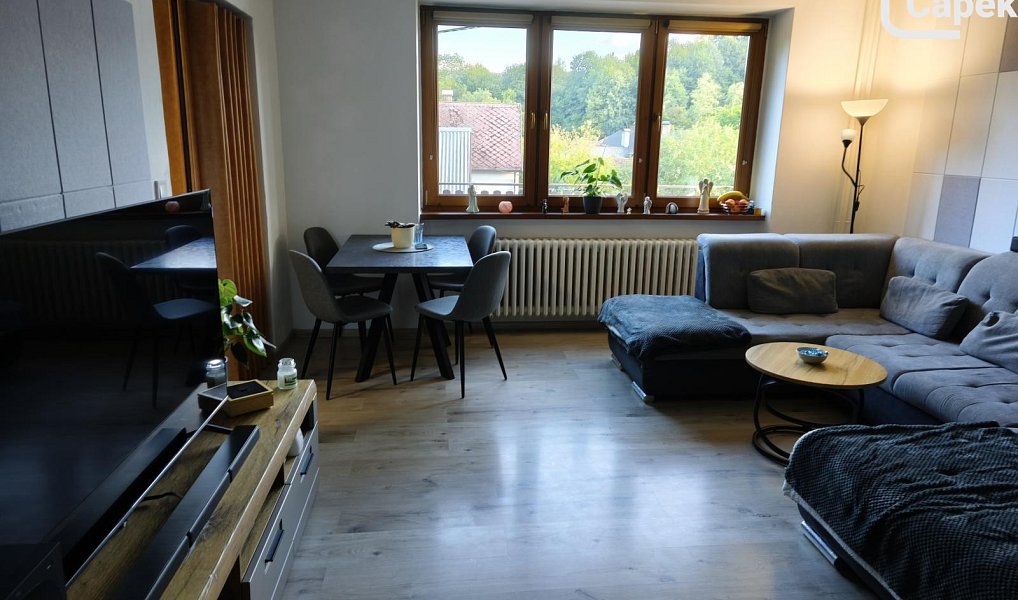 Prodej domu 282 m² s pozemkem 1 288 m², Životice u Nového Jičína – náhled fotky 13