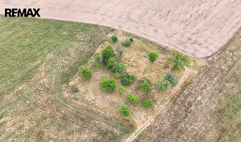 Prodej stavebního pozemku 3 633 m², Ošelín – náhled fotky 7