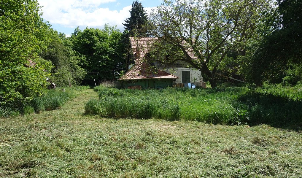 Prodej stavebního pozemku 3 236 m², Chotěšov – náhled fotky 3