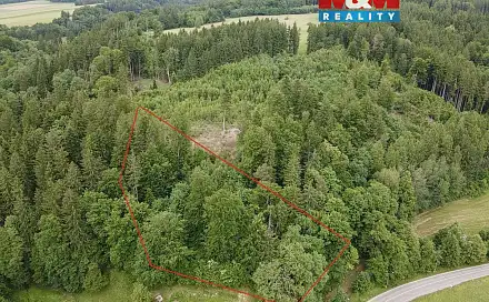 Prodej lesa 2 745 m², Ústí nad Orlicí - Oldřichovice