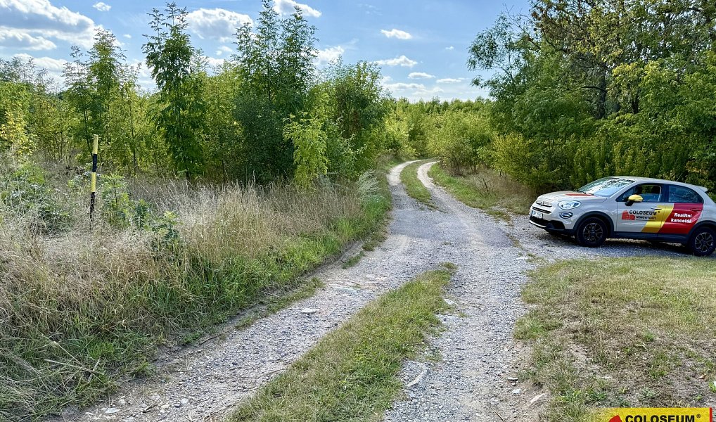 Ostatní