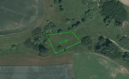 Dražba louky 1 935 m², Lom u Tachova
