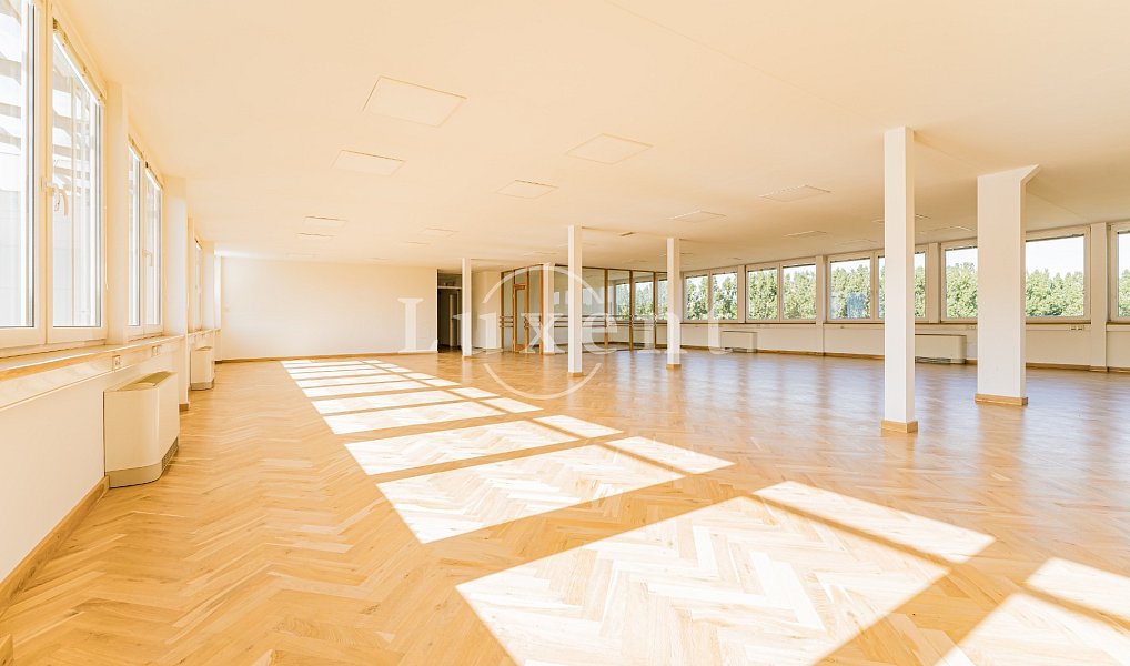 Pronájem kanceláře 257 m², Praha – náhled fotky 4