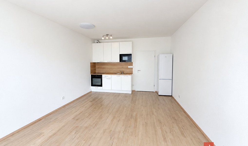 Pronájem bytu 1+kk 33 m², Plzeň – náhled fotky 4