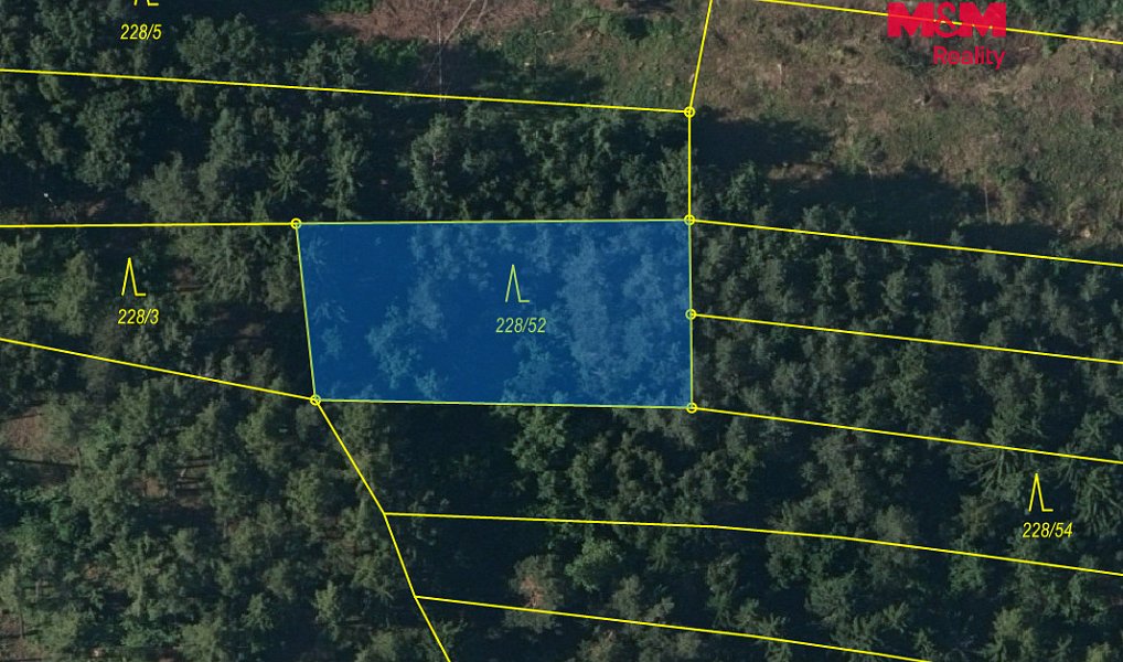 Prodej lesa 3 520 m², Břežany – náhled fotky 2