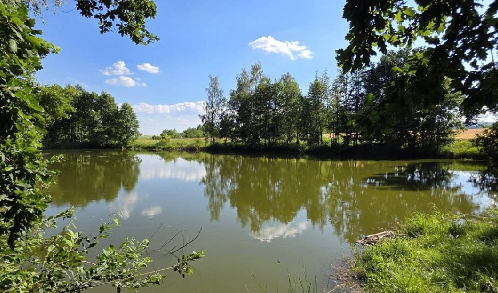 Prodej vodní plochy 18 189 m², Slezské Rudoltice – náhled fotky 4