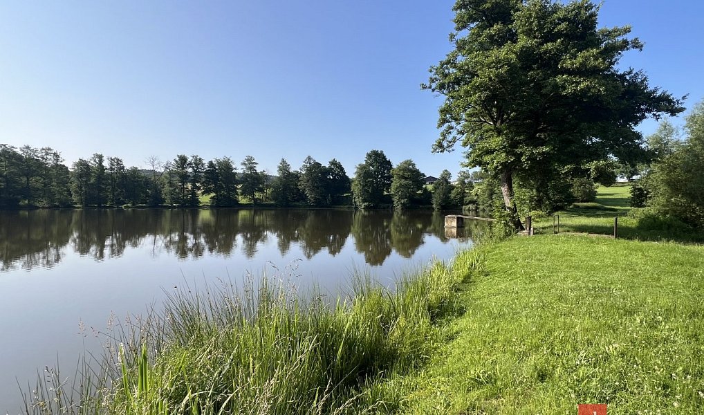 Prodej vodní plochy 19 964 m², Žákava – náhled fotky 5