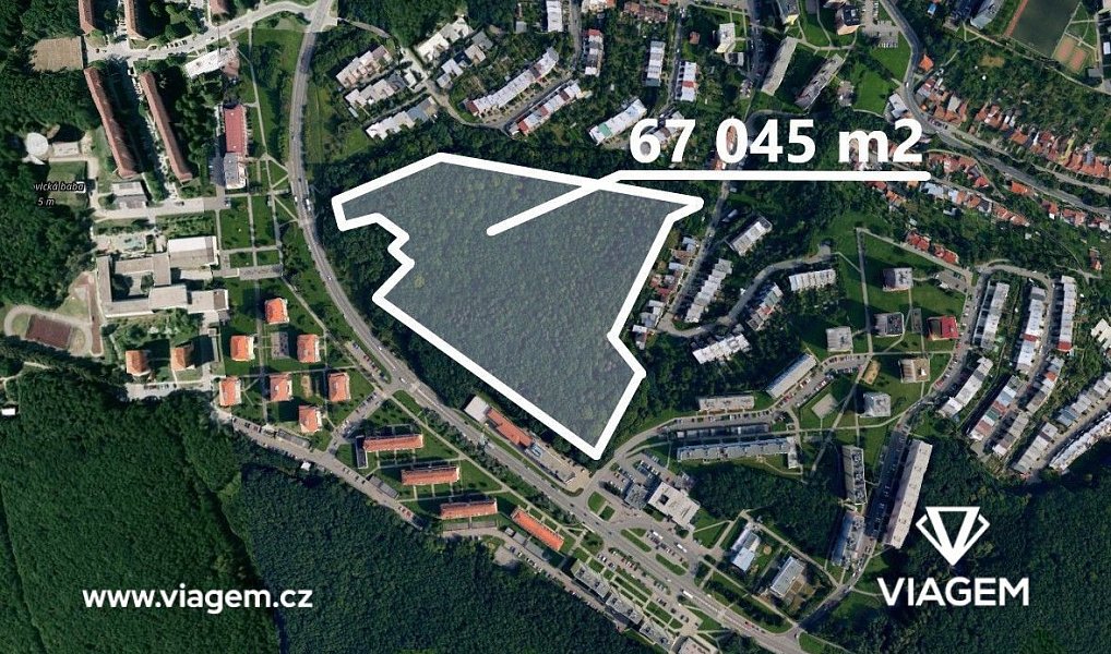 Prodej lesa 4 190 m², Brno – fotka 1 z 5