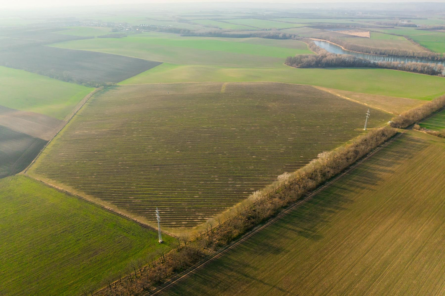 Prodej pole 243 931 m²